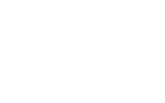 Ronal Wheels